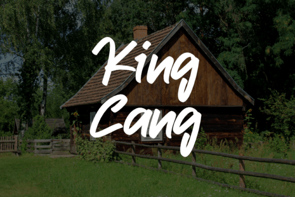 Meet King Cang: The Typeface Redefining Modern Branding